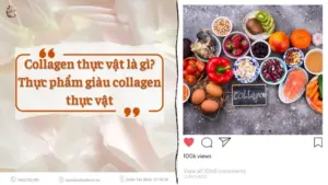 Cac loai thuc pham giau collagen thuc vat
