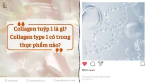 Tim hieu collagen tuyp 1 la gi va cong dung cua no