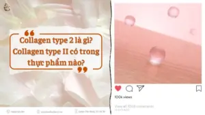 Tim hieu khai niem va cong dung collagen type 2 la gi