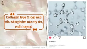 Collagen type 2 loai nao tot